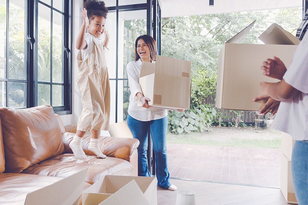 Business X Bridge Business Finance